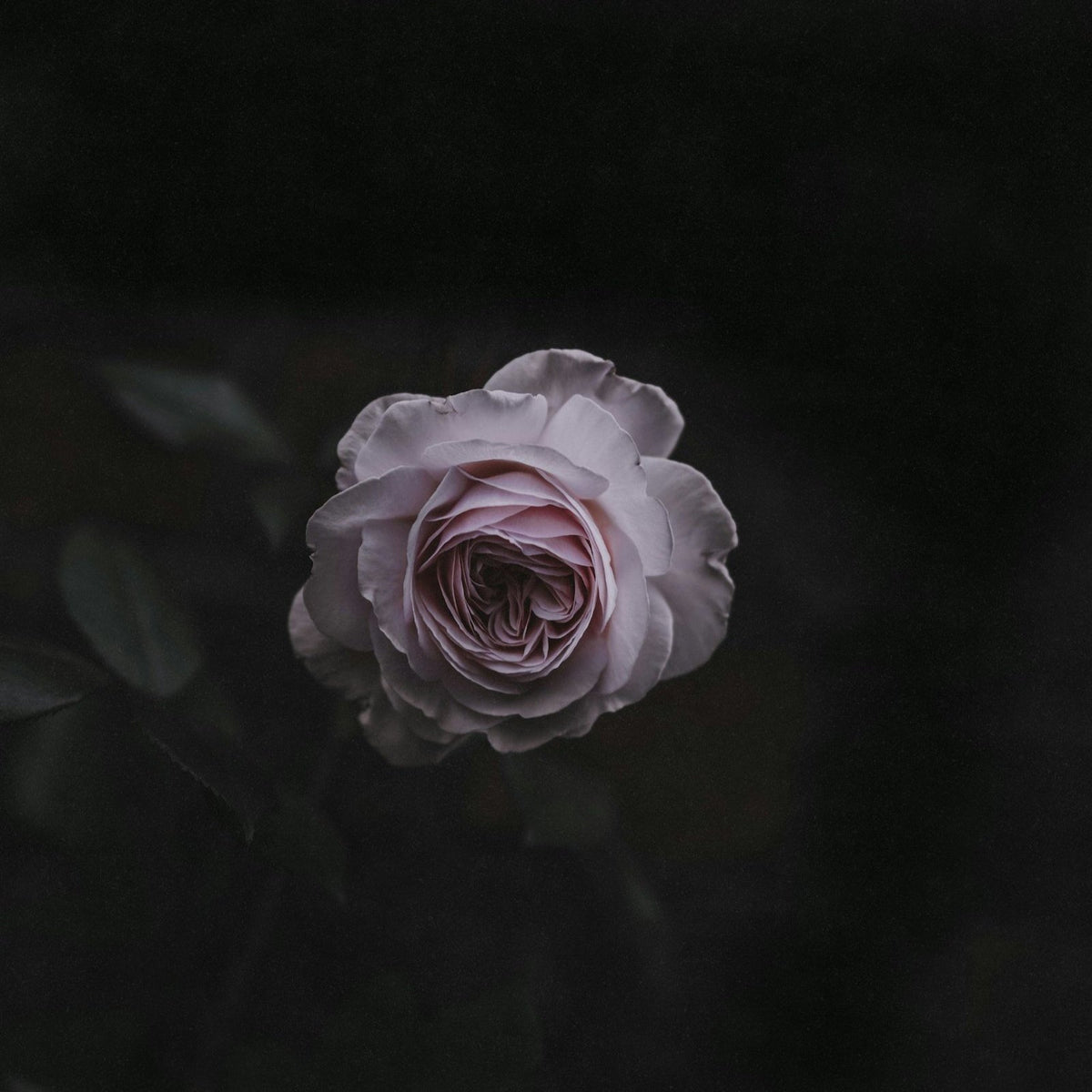 Coming Soon...The Unfolding